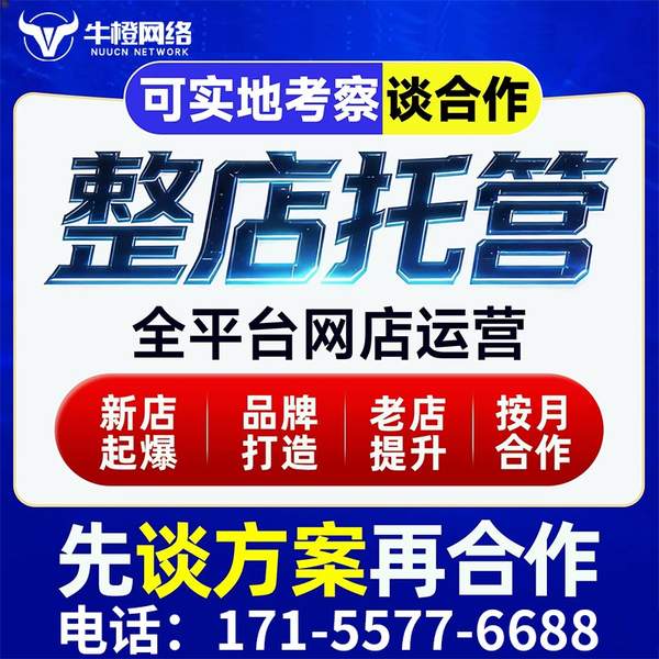 合肥电商代运营
